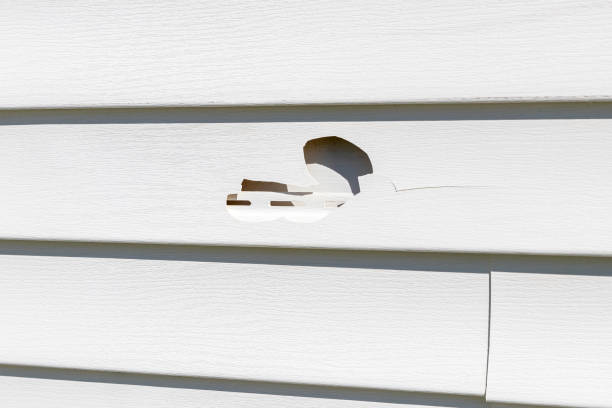 Affordable Siding Repair and Maintenance Services in Oglala, SD